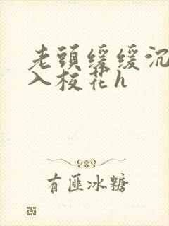 老头缓缓沉腰进入校花h