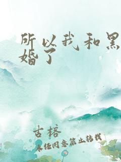 所以我和黑粉结婚了