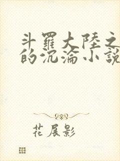 斗罗大陆之众女的沉沦小说