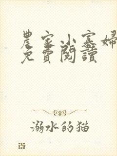 农家小寡妇全文免费阅读