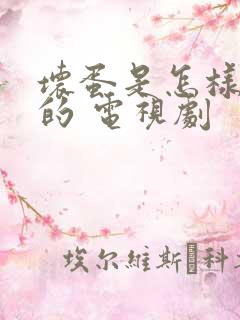 坏蛋是怎样炼成的 电视剧