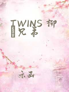 TWINS 柳澤兄弟