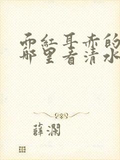 面红耳赤的小说哪里看清水村花