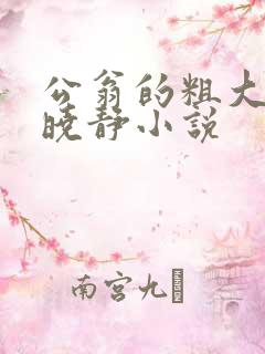 公翁的粗大放进晓静小说