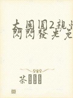 大团圆2亲情会闪闪发光免费