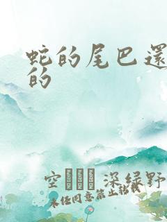 蛇的尾巴还在我的