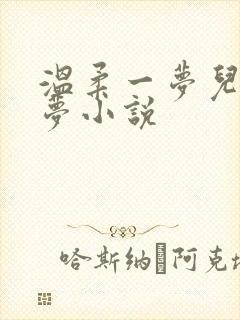 温柔一梦儿媳林梦小说