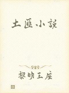 土匪小说
