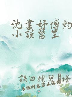 沈书妤傅灼抖音小说医生