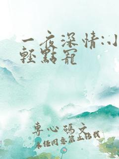 一夜深情:小叔轻点宠