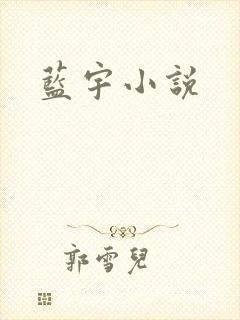 蓝宇小说