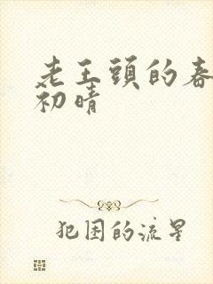 老王头的春天林初晴