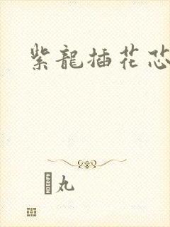 紫龙插花芯方正