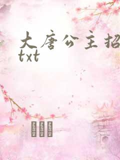 大唐公主招亲记txt