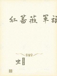 红蔷薇 军旅文