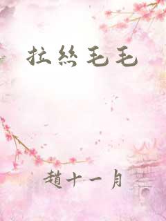 拉丝毛毛