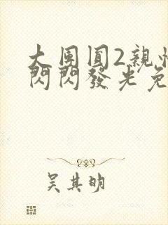 大团圆2亲情会闪闪发光免费