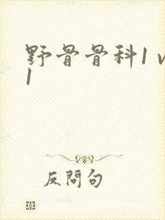 野骨骨科1 v1