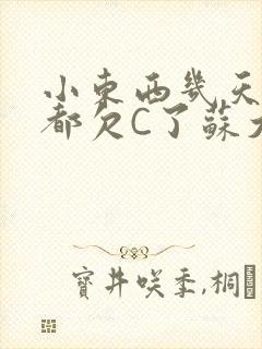 小东西几天没做都欠C了苏大深