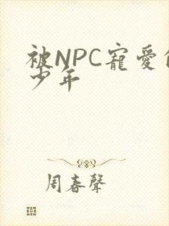 被NPC宠爱的少年