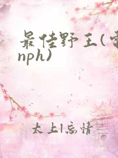 最佳野王(电竞nph)