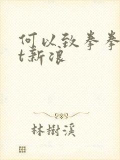 何以致拳拳txt新浪