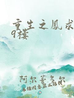 重生之凤求凰19楼