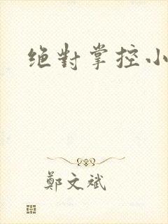 绝对掌控小说