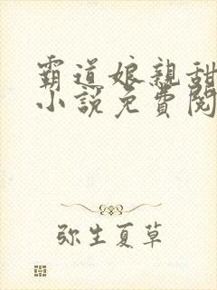 霸道娘亲甜又撩小说免费阅读