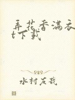 弄花香满衣txt下载