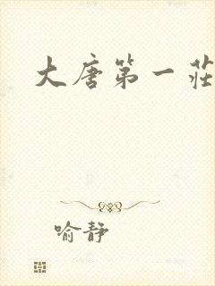 大唐第一庄