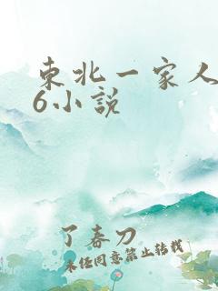东北一家人1一6小说