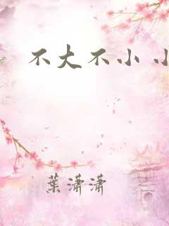 不大不小 小说