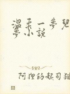 温柔一梦儿媳林梦小说