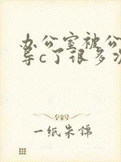 办公室被公司领导c了很多次