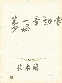第一章初尝云雨少妇
