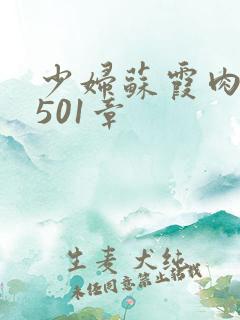 少妇苏霞肉欲第501章