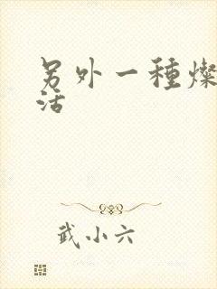 另外一种灿烂生活