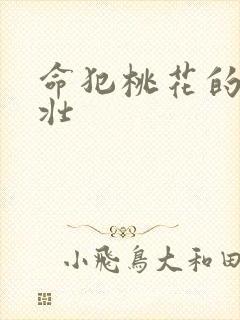 命犯桃花的李大壮