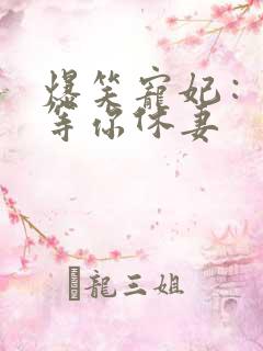 爆笑宠妃：爷我等你休妻