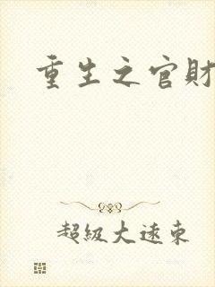 重生之官财人生