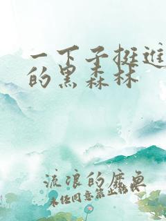 一下子挺进浓密的黑森林