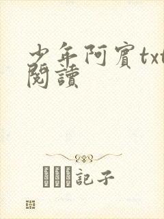 少年阿宾txt阅读