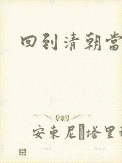 回到清朝当总统