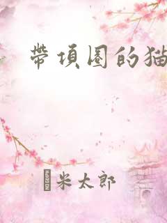 带项圈的猫耳娘