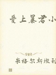 爱上暴君小甜心