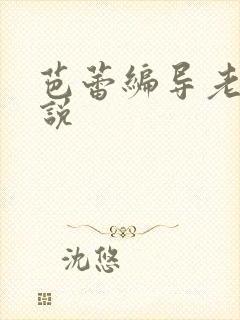 芭蕾编导老师小说