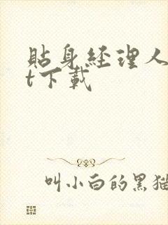 贴身经理人txt下载