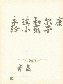 永琪和尔康一起干小燕子