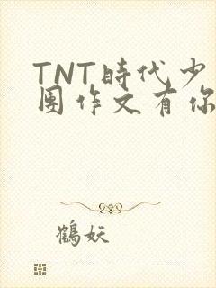 TNT时代少年团作文有你真好